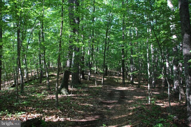 Naked Creek Rd, Elkton, VA 22827 - photo 34