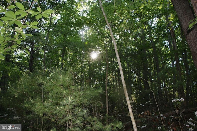 Naked Creek Rd, Elkton, VA 22827 - photo 28