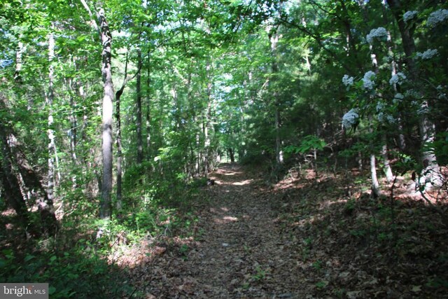 Naked Creek Rd, Elkton, VA 22827 - photo 18