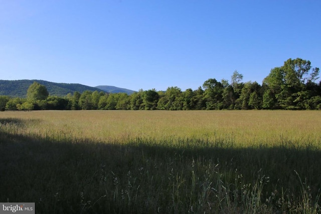 Naked Creek Rd, Elkton, VA 22827 - photo 33