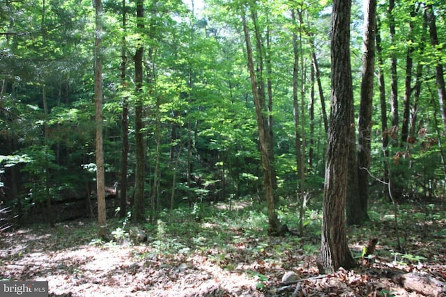 Naked Creek Rd, Elkton, VA 22827 - photo 23