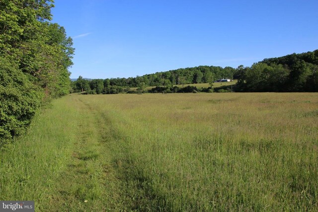 Naked Creek Rd, Elkton, VA 22827 - photo 37