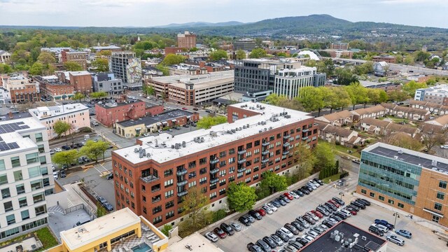 200 Garrett St Unit 609, Charlottesville, VA 22902 - view of urban area with a mountainous background