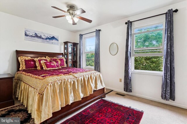 5200 Sweet Gum Ter, Fredericksburg, VA 22407 - carpeted bedroom with multiple windows, baseboards, and a ceiling fan