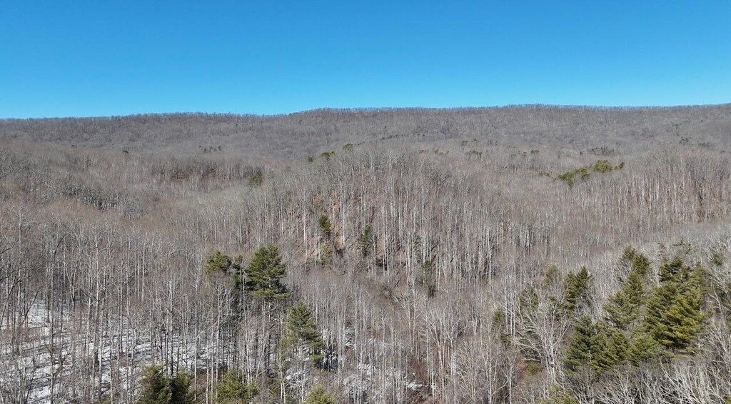TBD Westminster Rd, Millboro, VA 24460 - photo 1