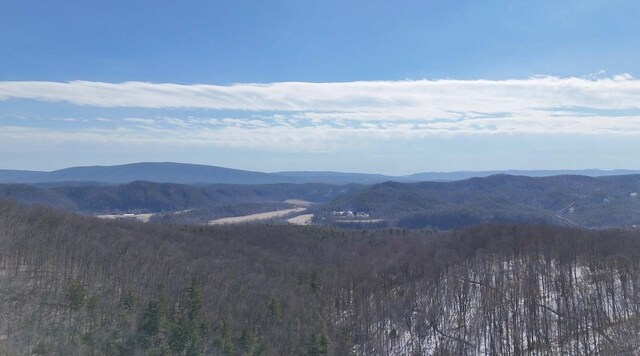 TBD Westminster Rd, Millboro, VA 24460 - photo 3