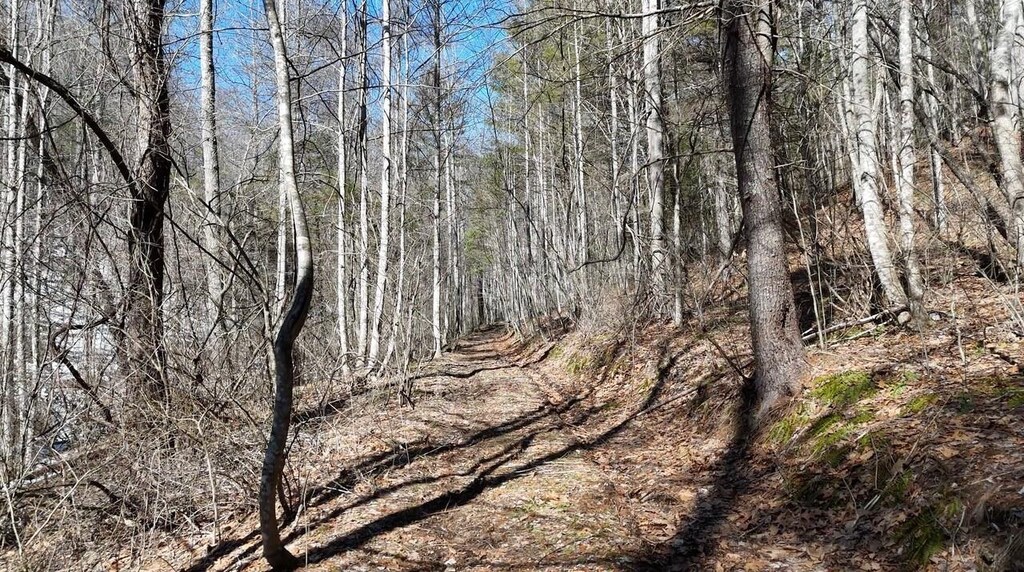 TBD Westminster Rd, Millboro, VA 24460 - photo 2