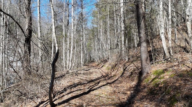 TBD Westminster Rd, Millboro, VA 24460 - photo 2