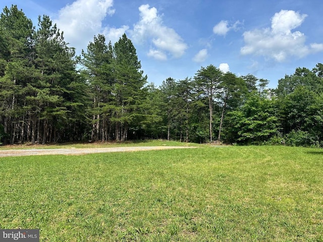 2301 Johnson Rd, Mineral, VA 23117 - photo 14