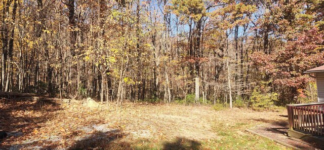46 Howdyshell Ln, Swoope, VA 24479 - photo 4