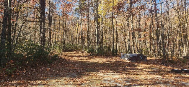 46 Howdyshell Ln, Swoope, VA 24479 - photo 6