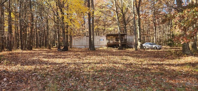 46 Howdyshell Ln, Swoope, VA 24479 - photo 26