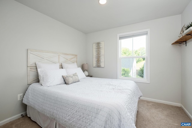 3215 Bergen St, Charlottesville, VA 22902 - bedroom with carpet floors