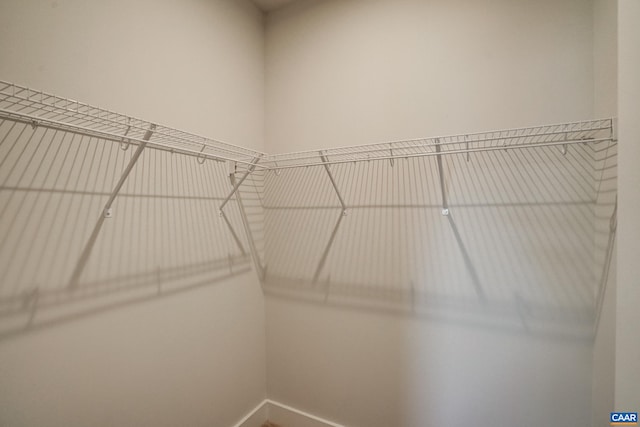 1658 Koch Ct, Charlottesville, VA 22911 - view of walk in closet