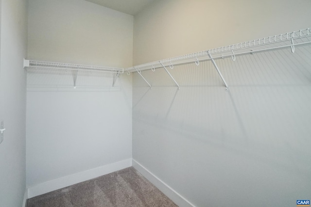 1658 Koch Ct, Charlottesville, VA 22911 - walk in closet featuring carpet floors