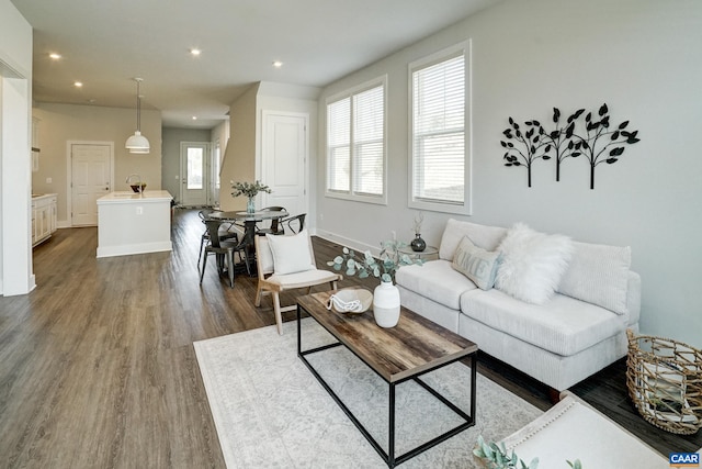 1658 Koch Ct, Charlottesville, VA 22911 - living area featuring a healthy amount of sunlight, recessed lighting, and dark wood-type flooring