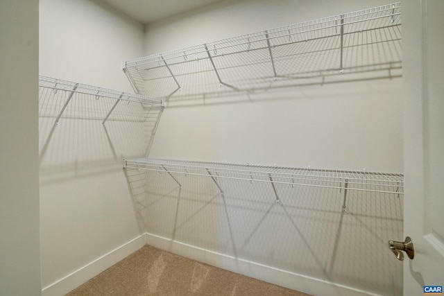 1658 Koch Ct, Charlottesville, VA 22911 - walk in closet with carpet