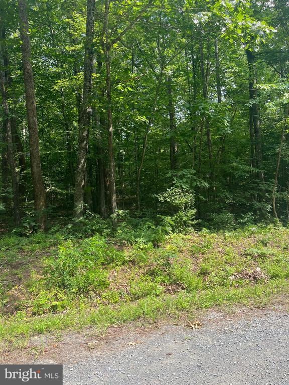 0 Meander Run Rd, Locust Dale, VA 22948