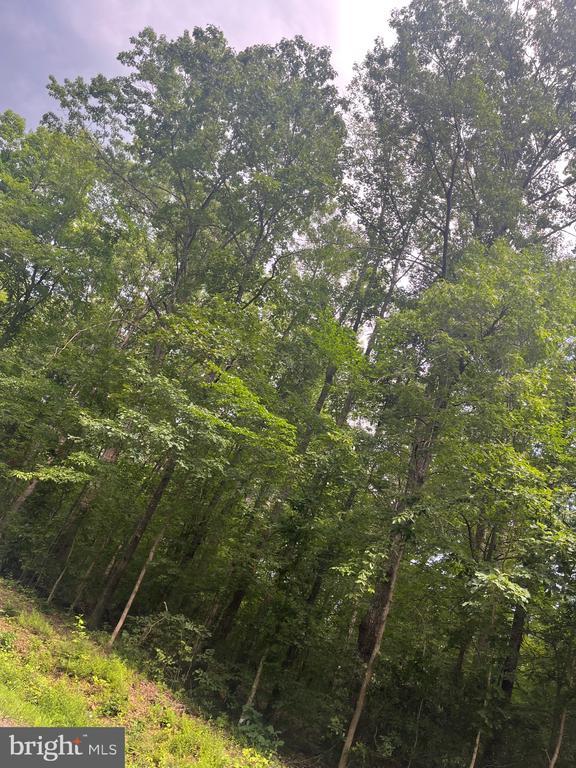 0 Meander Run Rd, Locust Dale, VA 22948