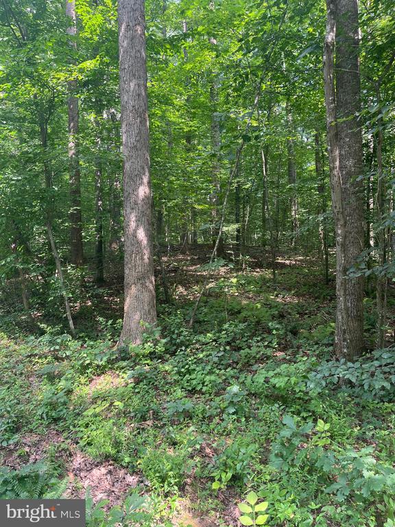 0 Meander Run Rd, Locust Dale, VA 22948