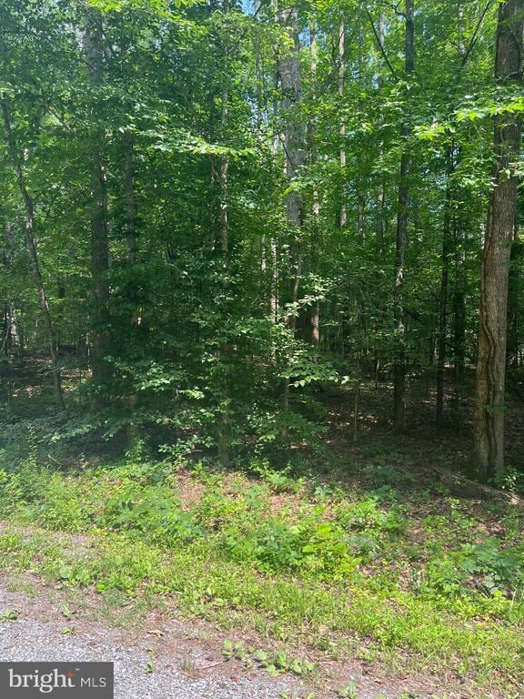 0 Meander Run Rd, Locust Dale, VA 22948