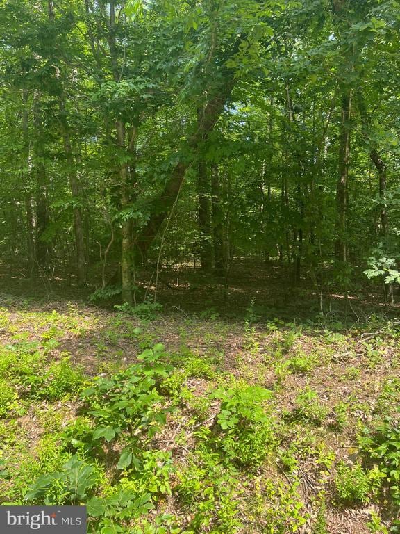0 Meander Run Rd, Locust Dale, VA 22948