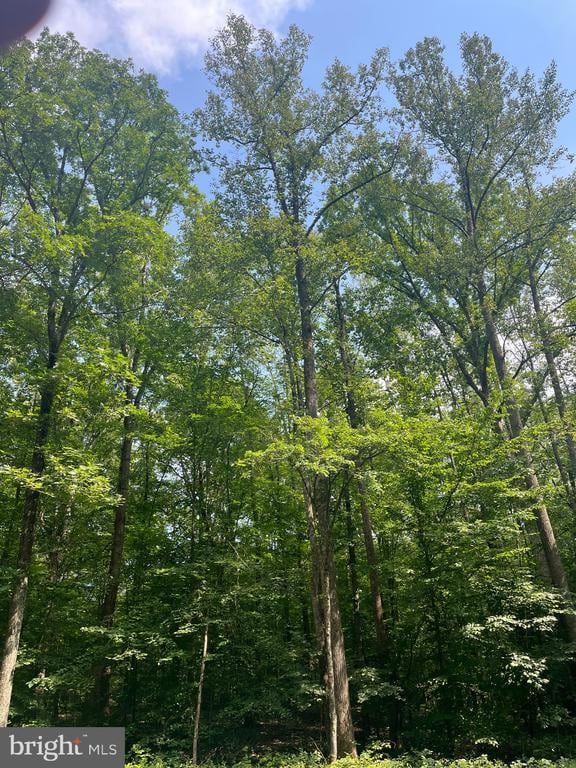 0 Meander Run Rd, Locust Dale, VA 22948