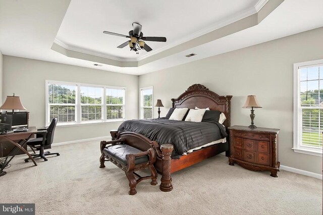  - carpeted bedroom with ornamental molding, a tray ceiling, an office area, multiple windows, and ceiling fan