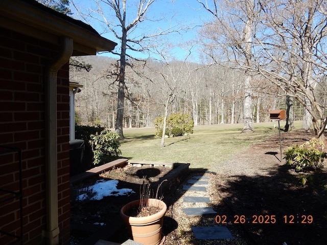 49 Edgewood Ct, Hot Springs, VA 24445 - view of yard with a forest view