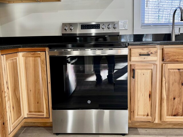 kitchen featuring sink and electric stove