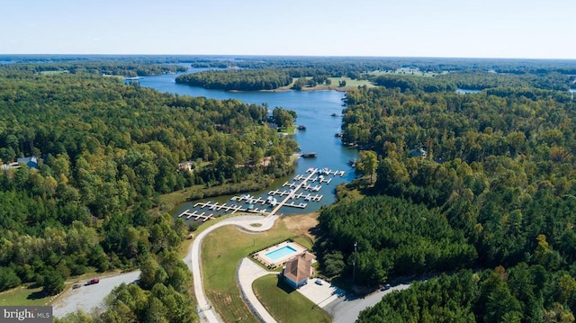 295 Hemlock Loop, Mineral, VA 23117 - aerial view of property and surrounding area featuring a large body of water and a forest
