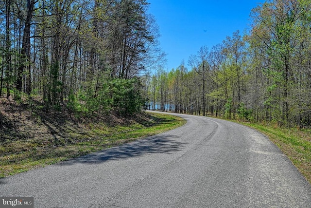 295 Hemlock Loop, Mineral, VA 23117 - view of asphalt road featuring a view of trees