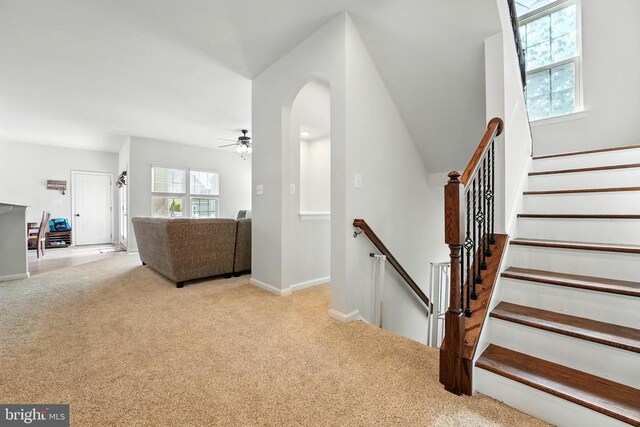  - stairs with carpet, a ceiling fan, and arched walkways