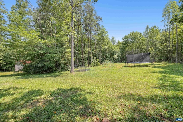 5998 Community House Rd, Columbia, VA 23038 - photo 29