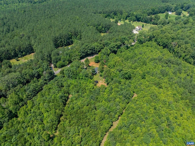 5998 Community House Rd, Columbia, VA 23038 - photo 34
