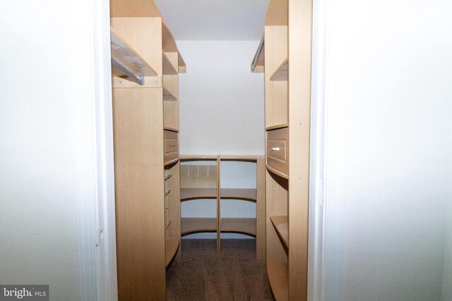 5903 Vista Ct, Fredericksburg, VA 22407 - spacious closet featuring dark colored carpet