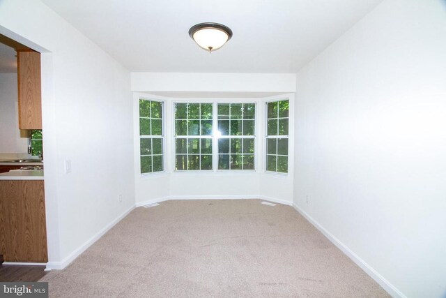 5903 Vista Ct, Fredericksburg, VA 22407 - carpeted spare room with baseboards and a sink