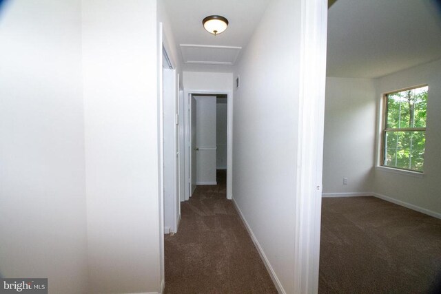 5903 Vista Ct, Fredericksburg, VA 22407 - hallway with carpet, baseboards, and attic access