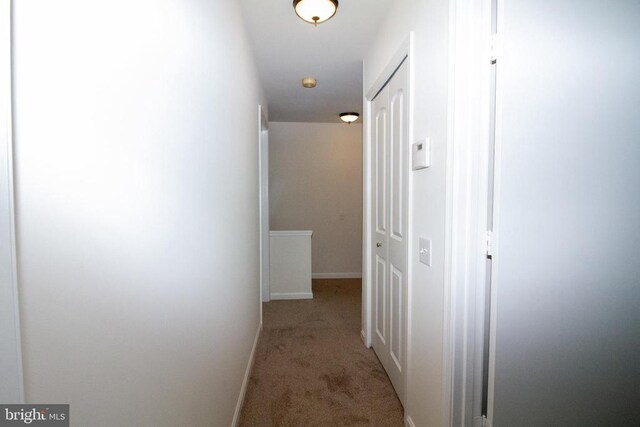 5903 Vista Ct, Fredericksburg, VA 22407 - corridor featuring carpet floors and baseboards