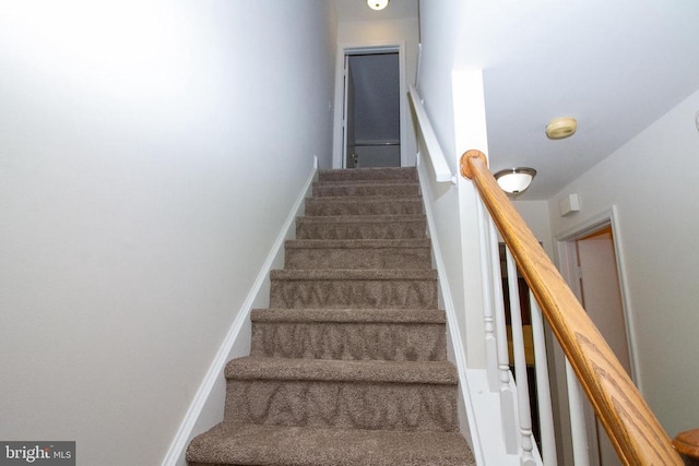 5903 Vista Ct, Fredericksburg, VA 22407 - staircase featuring carpet floors