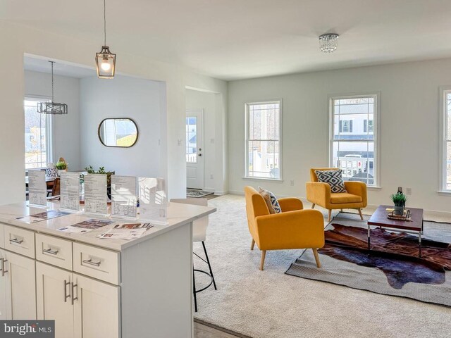 living area featuring dark wood-type flooring, plenty of natural light, and baseboards