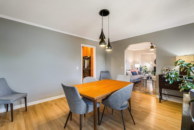 3106 Flint Ave, Rockingham, VA 22801 - photo 11