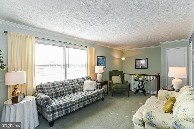 5507 Carousel St, Fredericksburg, VA 22407 - photo 2