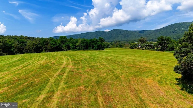 12 Shuler Ln, Stanley, VA 22851 - photo 7
