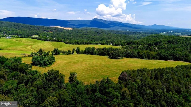 12 Shuler Ln, Stanley, VA 22851 - photo 3