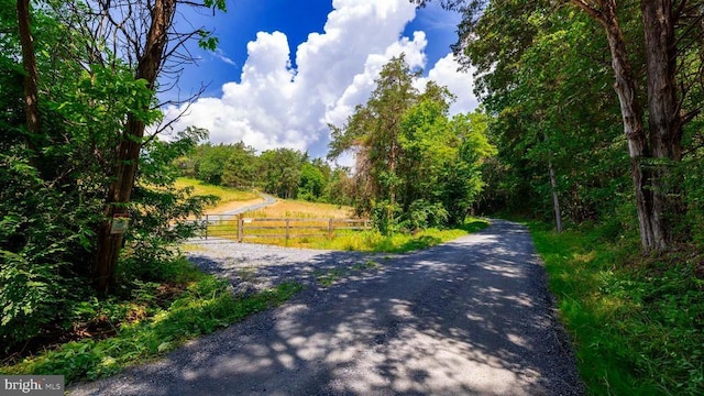 12 Shuler Ln, Stanley, VA 22851 - photo 15