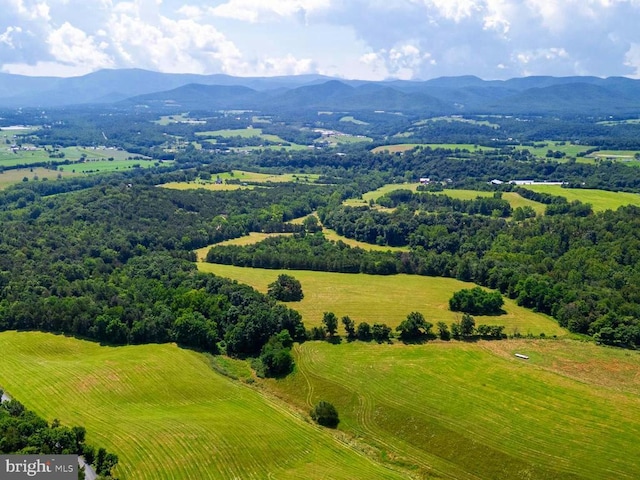 12 Shuler Ln, Stanley, VA 22851 - photo 4