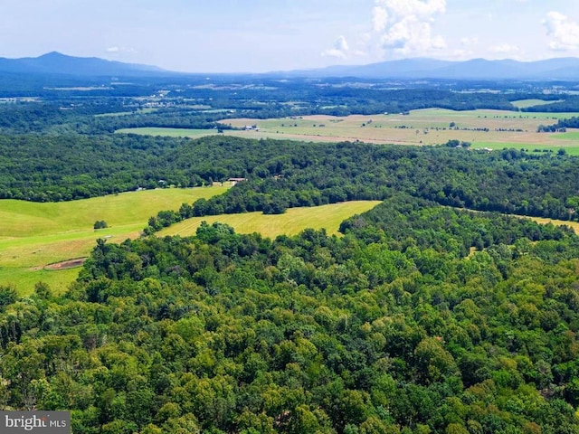 12 Shuler Ln, Stanley, VA 22851 - photo 6