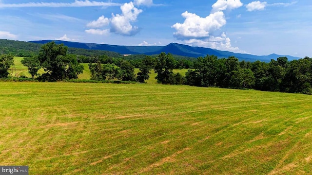 12 Shuler Ln, Stanley, VA 22851 - photo 8