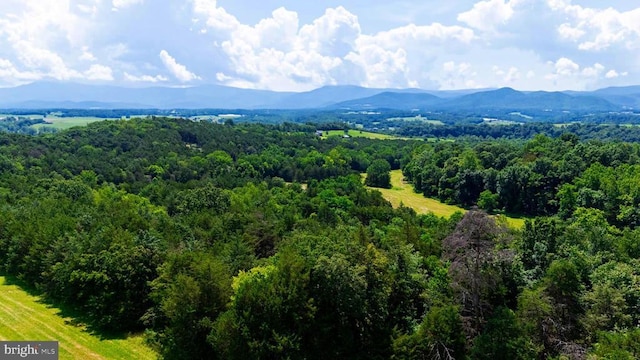 12 Shuler Ln, Stanley, VA 22851 - photo 9